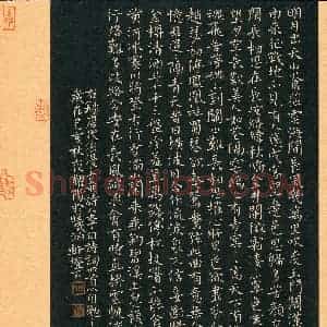 甘耀阳(成人组 金奖)硬笔书法大赛 获奖作品图片欣赏