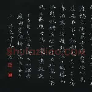 姜浩 硬笔楷书作品《江南人家有橘树》图片欣赏