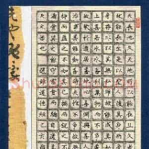 薛安辰(少儿组 8岁 特等奖)硬笔书法大赛 获奖作品图片欣赏