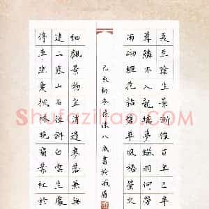 窦筱沫(少儿组 8岁 特等奖)硬笔书法大赛 获奖作品图片欣赏