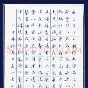 林泓泰(少儿组 9岁 特等奖)硬笔书法大赛 获奖作品图片欣赏