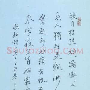 王建松 硬笔行书作品《苏轼词卜算子》图片欣赏