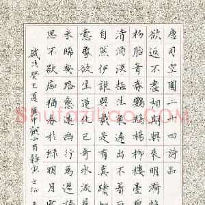 汤远昌 硬笔楷书作品《司空图二十四诗品节录》图片欣赏