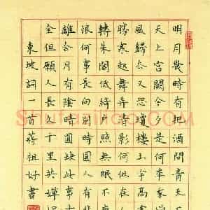 蒋祖好 硬笔楷书作品《东坡词》图片欣赏