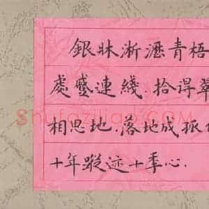 张颢 硬笔楷书作品《纳兰词》图片欣赏