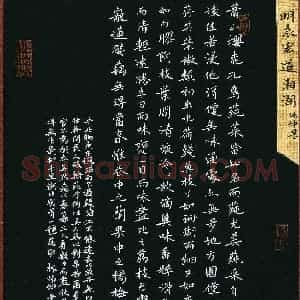 郑嘉怡(少儿组 11岁 特等奖)硬笔书法大赛 获奖作品图片欣赏