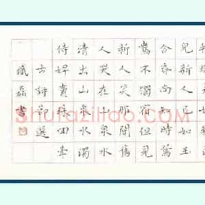 臧磊 硬笔楷书作品《古诗节选》图片欣赏