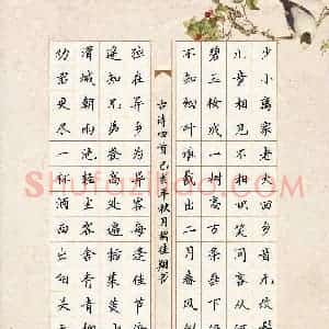 胡佳翔(少儿组 12岁 特等奖)硬笔书法大赛 获奖作品图片欣赏