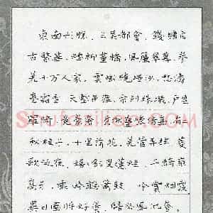 梁祚潮(成人组 优秀奖)硬笔书法大赛 获奖作品图片欣赏