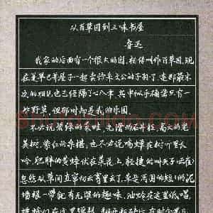 栾雨霏(少儿组 13岁 特等奖)硬笔书法大赛 获奖作品图片欣赏