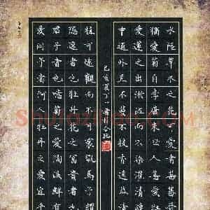 丁一(少儿组 13岁 特等奖)硬笔书法大赛 获奖作品图片欣赏