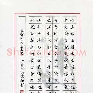 田罡(成人组)硬笔书法大赛 入围作品选登图片欣赏