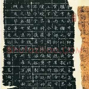 席谢星雨(少儿组 13岁 特等奖)硬笔书法大赛 获奖作品图片欣赏