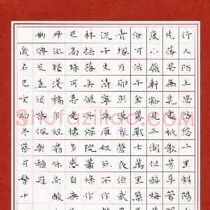 蔡可繁(少儿组 14岁 特等奖)硬笔书法大赛 获奖作品图片欣赏