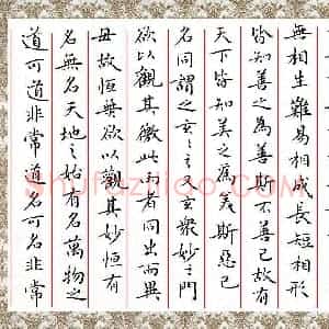 张颢 硬笔楷书作品《道德经》图片欣赏