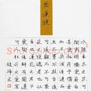 赵烯宏(少儿组 15岁 特等奖)硬笔书法大赛 获奖作品图片欣赏