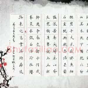 安琪(成人组 优秀奖)硬笔书法大赛 获奖作品图片欣赏
