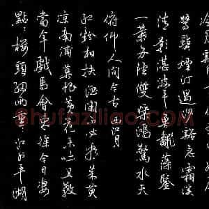 张颢 硬笔行书作品《东坡词二首》图片欣赏