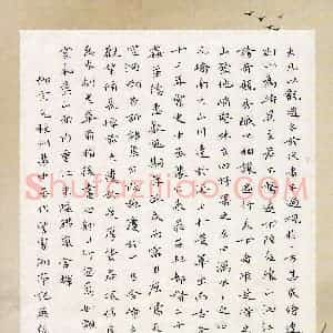 吴悠扬(少儿组 16岁 特等奖)硬笔书法大赛 获奖作品图片欣赏