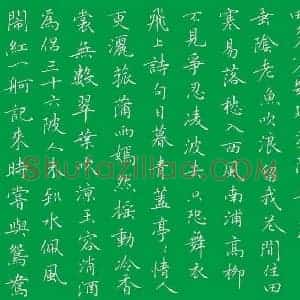 张颢 硬笔楷书作品《姜夔念奴娇》图片欣赏