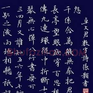 张颢 硬笔楷书作品《卓文君数字诗》图片欣赏