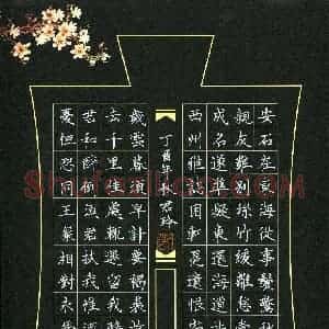 吴君玲(成人组)硬笔书法大赛 入围作品选登图片欣赏