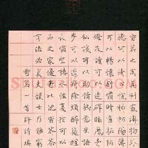 许诗琪(少儿组 14岁)硬笔书法大赛 入围作品选登图片欣赏