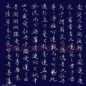 张颢 硬笔楷书作品《爱莲说》图片欣赏