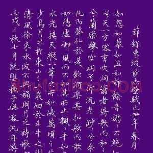 张颢 硬笔楷书作品《节录东坡赤壁赋》图片欣赏