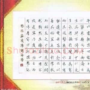 汤远昌 硬笔楷书作品《张栻雷州府儒学记节录》图片欣赏