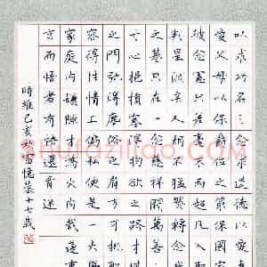 雷忆蕊(少儿组 17岁)硬笔书法大赛 入围作品选登图片欣赏