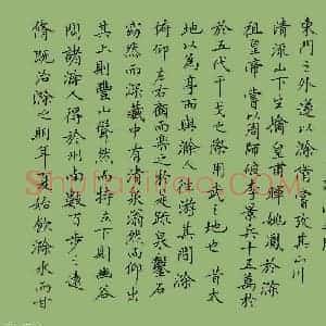 张颢 硬笔楷书作品《节录东坡赤壁赋》图片欣赏
