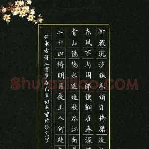 曾诗雅(少儿组 12岁)硬笔书法大赛 入围作品选登图片欣赏