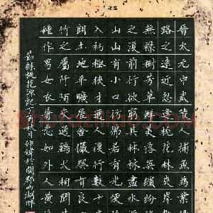 彭仲伟(成人组)硬笔书法大赛 入围作品选登图片欣赏
