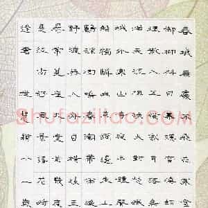 从慧颖(少儿组 11岁)硬笔书法大赛 入围作品选登图片欣赏