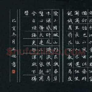 王旭(少儿组 12岁)硬笔书法大赛 入围作品选登图片欣赏