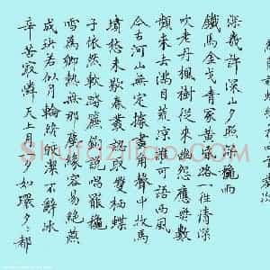 张颢 硬笔楷书作品《纳兰词蝶恋花二首》图片欣赏