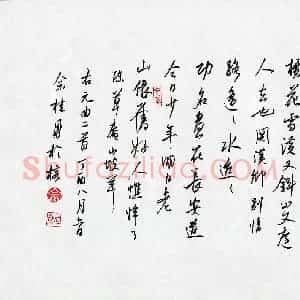 佘桂勇(成人组)硬笔书法大赛 入围作品选登图片欣赏