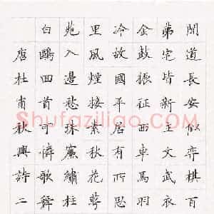 硬笔书法大赛 姜浩(特邀 四川)参赛硬笔书法作品欣赏