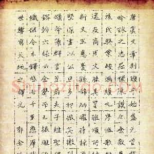 郭金珠(成人组)硬笔书法大赛 入围作品选登图片欣赏