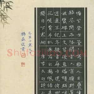硬笔书法大赛 杨森武(特邀 贵州)参赛硬笔书法作品欣赏