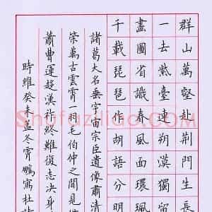 荆霄鹏 硬笔楷书作品《唐诗》图片欣赏