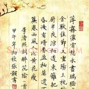 张颢 硬笔楷书作品《李清照词醉花阴一首》图片欣赏