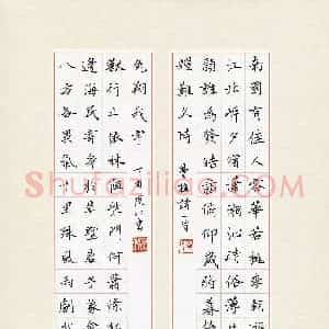 王院化(成人组)硬笔书法大赛 入围作品选登图片欣赏