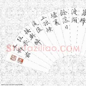 张颢 硬笔楷书作品《王维诗》图片欣赏