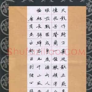 张勇 硬笔楷书作品《康有为诗出都留别诸公》图片欣赏