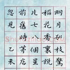 张颢 硬笔楷书作品《辛弃疾词》图片欣赏