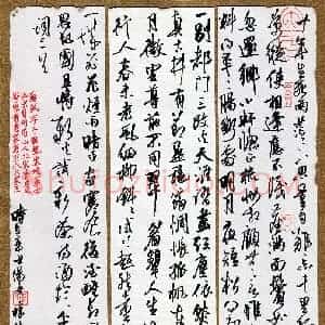 黄梓林(成人组 行书 铜奖)硬笔书法大赛 获奖作品图片欣赏