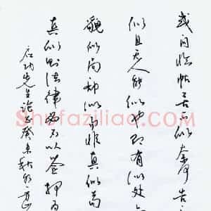 蒋亚军 硬笔行草作品《启功论书》图片欣赏