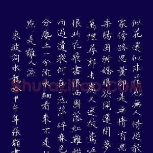 张颢 硬笔楷书作品《东坡词水龙吟一首》图片欣赏